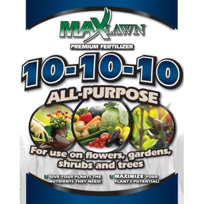 Promotion Image