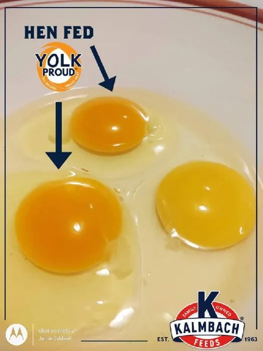 Kalmbach All Nat Premium Poultry Block